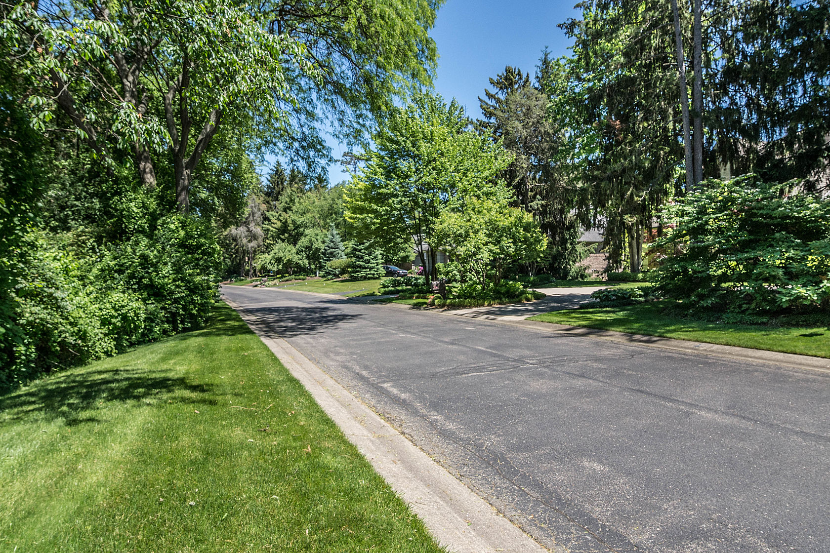 Street in Brighton's Pine Creek