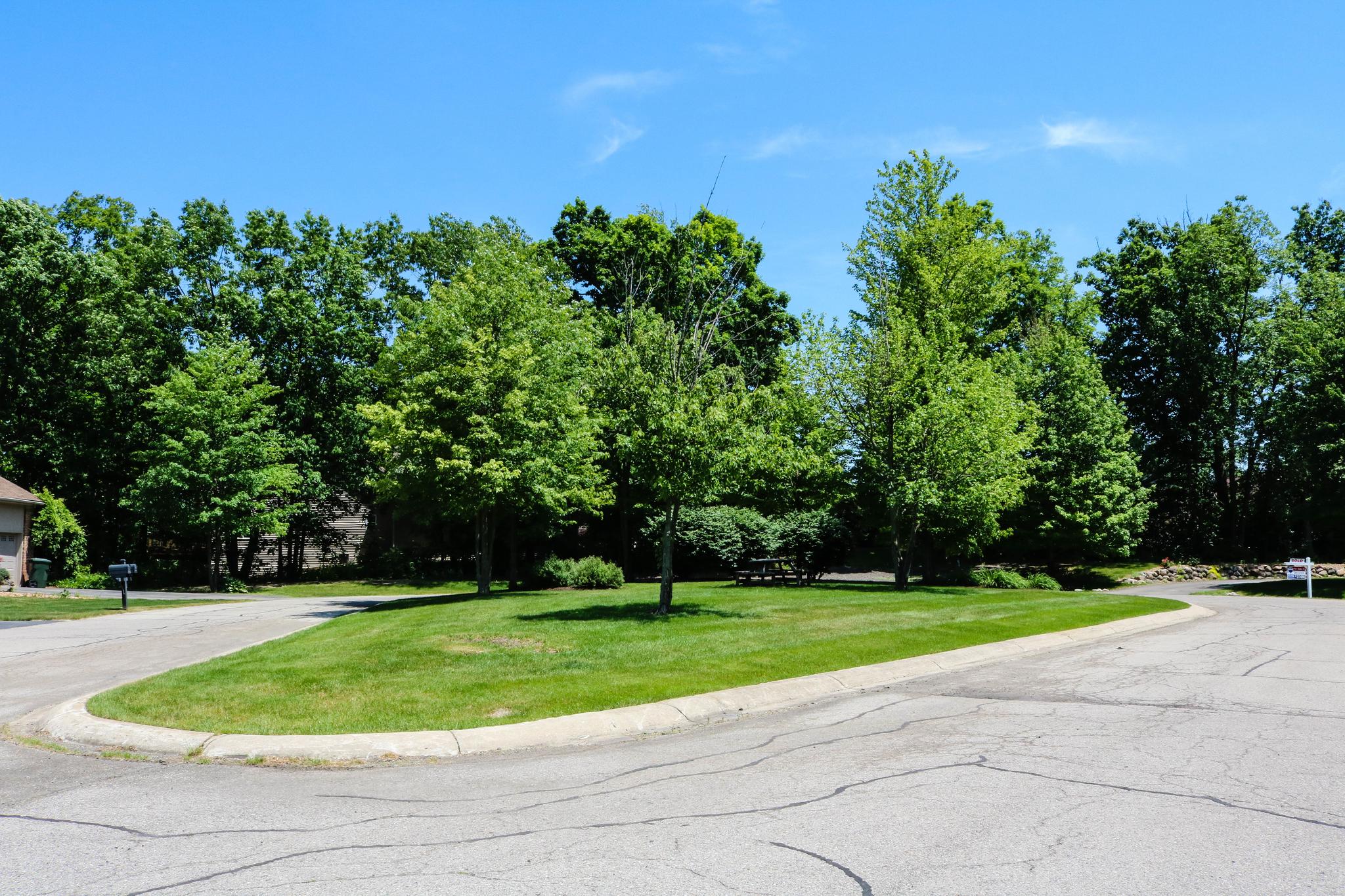 Lakeshore Pointe neighborhood roads